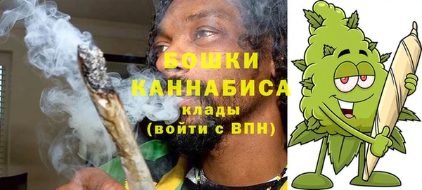 МДПВ Нея
