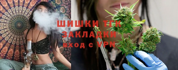 таблы Новодвинск
