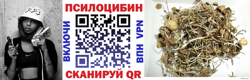 Псилоцибиновые грибы прущие грибы  купить  цена  Рассказово 