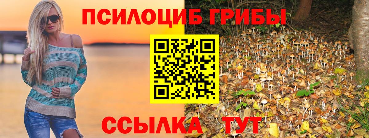 Рассказово  Галлюциногенные грибы GOLDEN TEACHER  Галлюциногенные грибы мицелий  Вход с VPN 