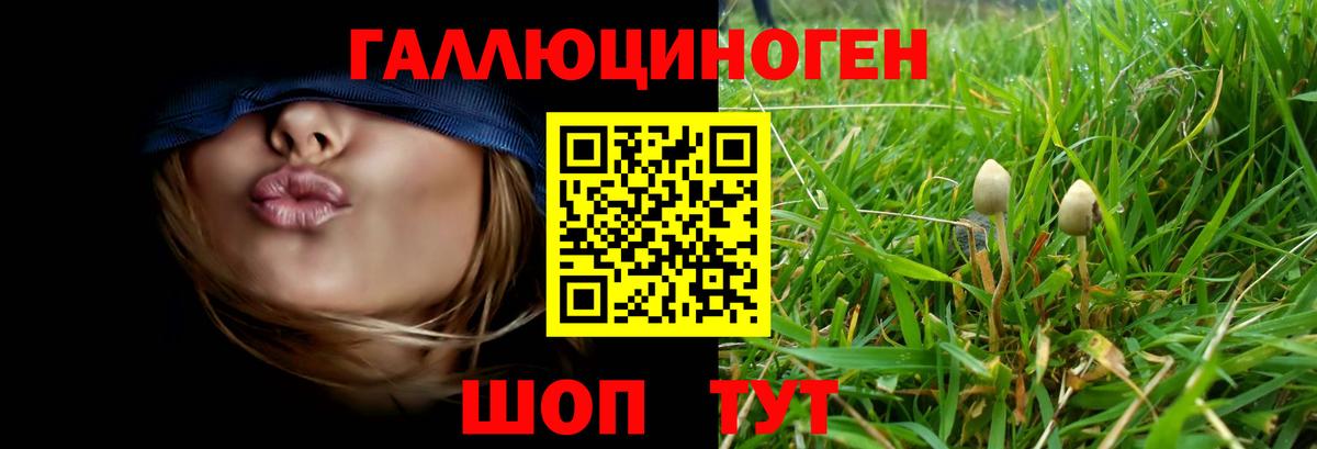 Галлюциногенные грибы Magic Shrooms  Рассказово  Галлюциногенные грибы ЛСД 